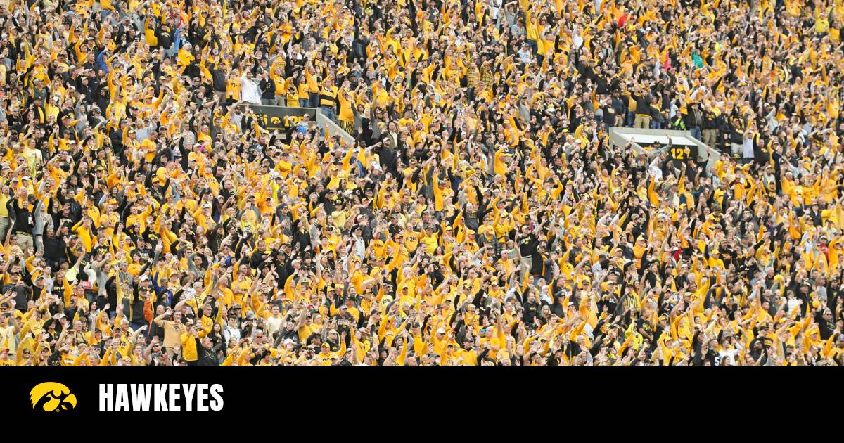 The Search for Louisa Warwick Net Worth: A Contextual Gap